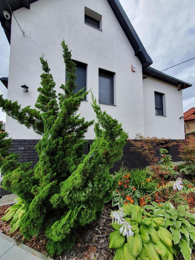 ブダペスト Tweed Houseヴィラ エクステリア 写真