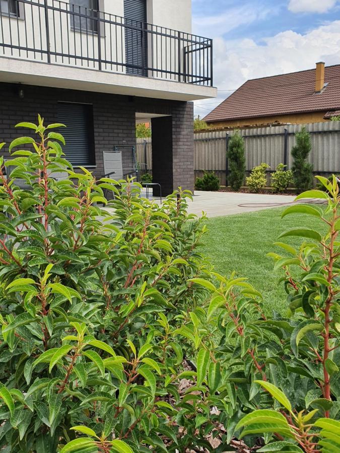 ブダペスト Tweed Houseヴィラ エクステリア 写真